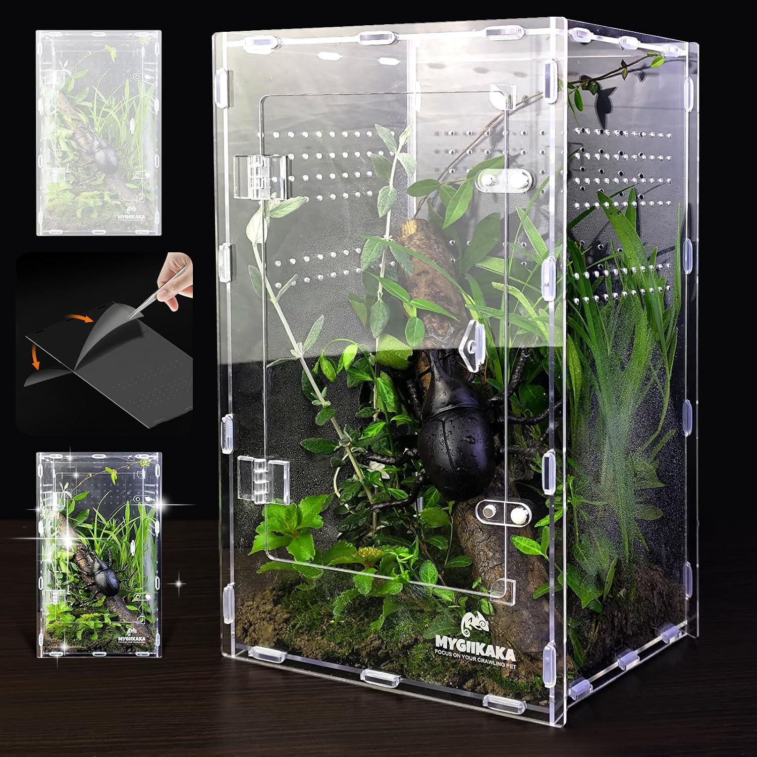 Acrylic Jumping Spider Enclosure – Insect Terrarium for Spiders, Mantises, Tarantulas & Frogs