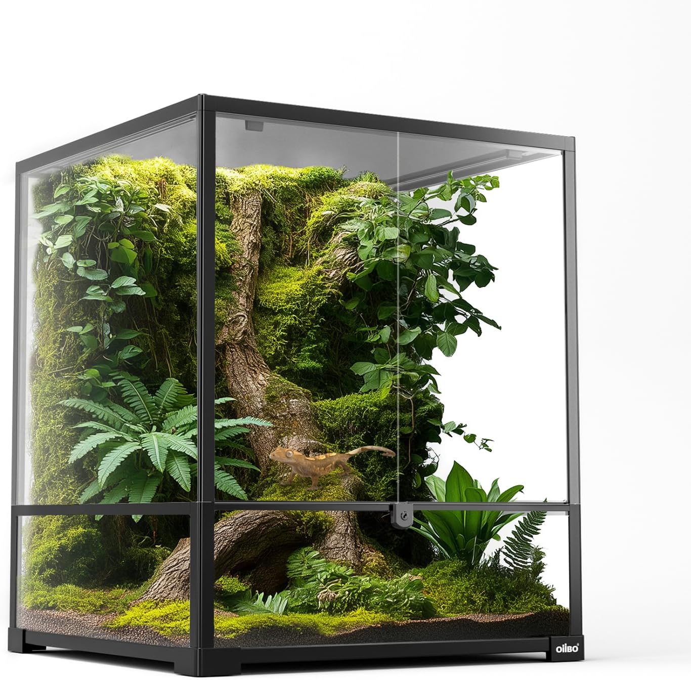 18″ x 18″ x 24″ Glass Reptile Terrarium, Knock-Down Rainforest Reptile Habitat Tank with Front Opening Doors & Top Screen Ventilation, 30 Gallon Vertical Terrarium