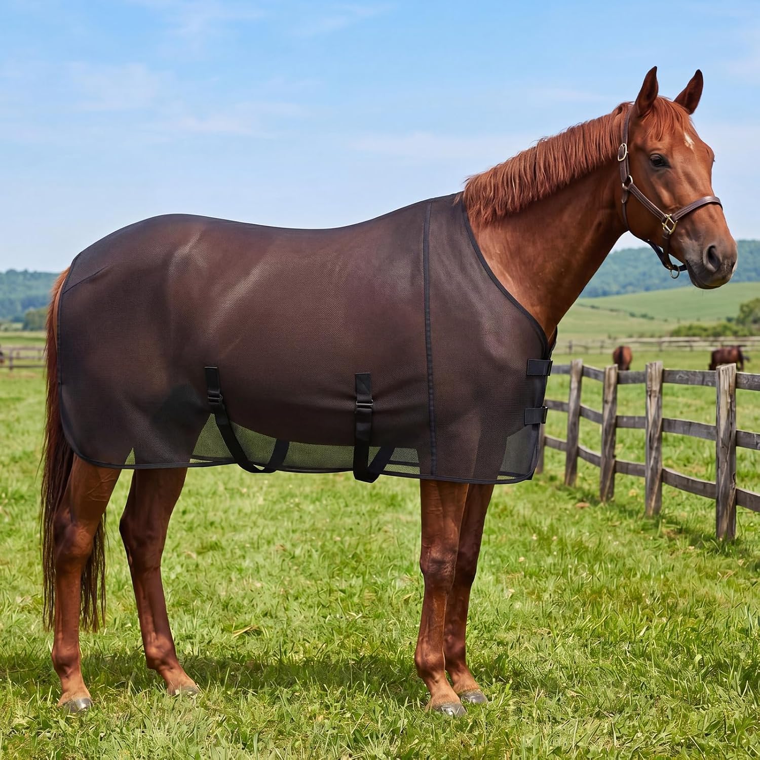 Breathable Mesh Horse Fly Sheet for Summer, Size 72 Black Lightweight Cover