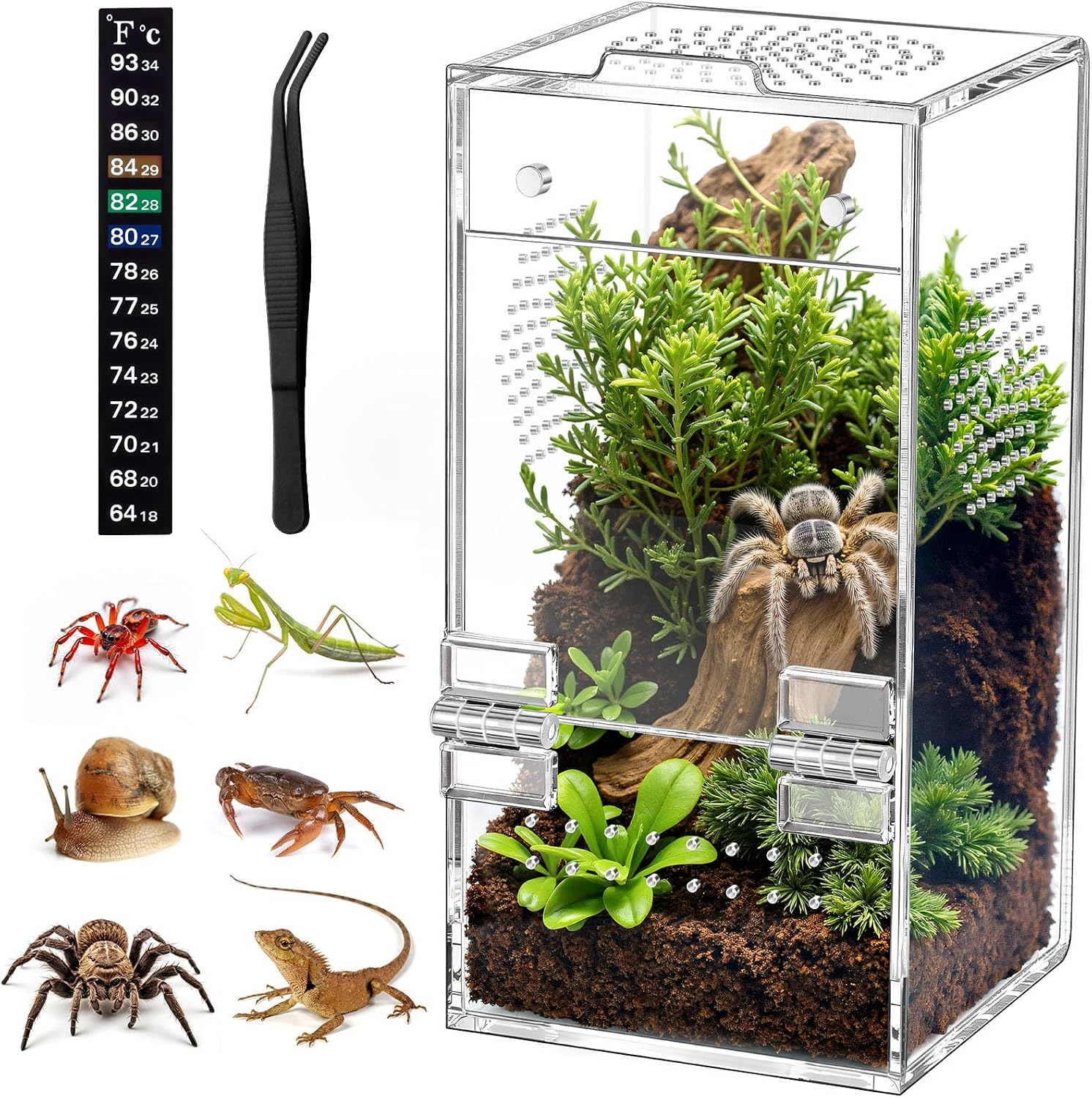 Pre-Assembled Jumping Spider Enclosure, All-Side Ventilation