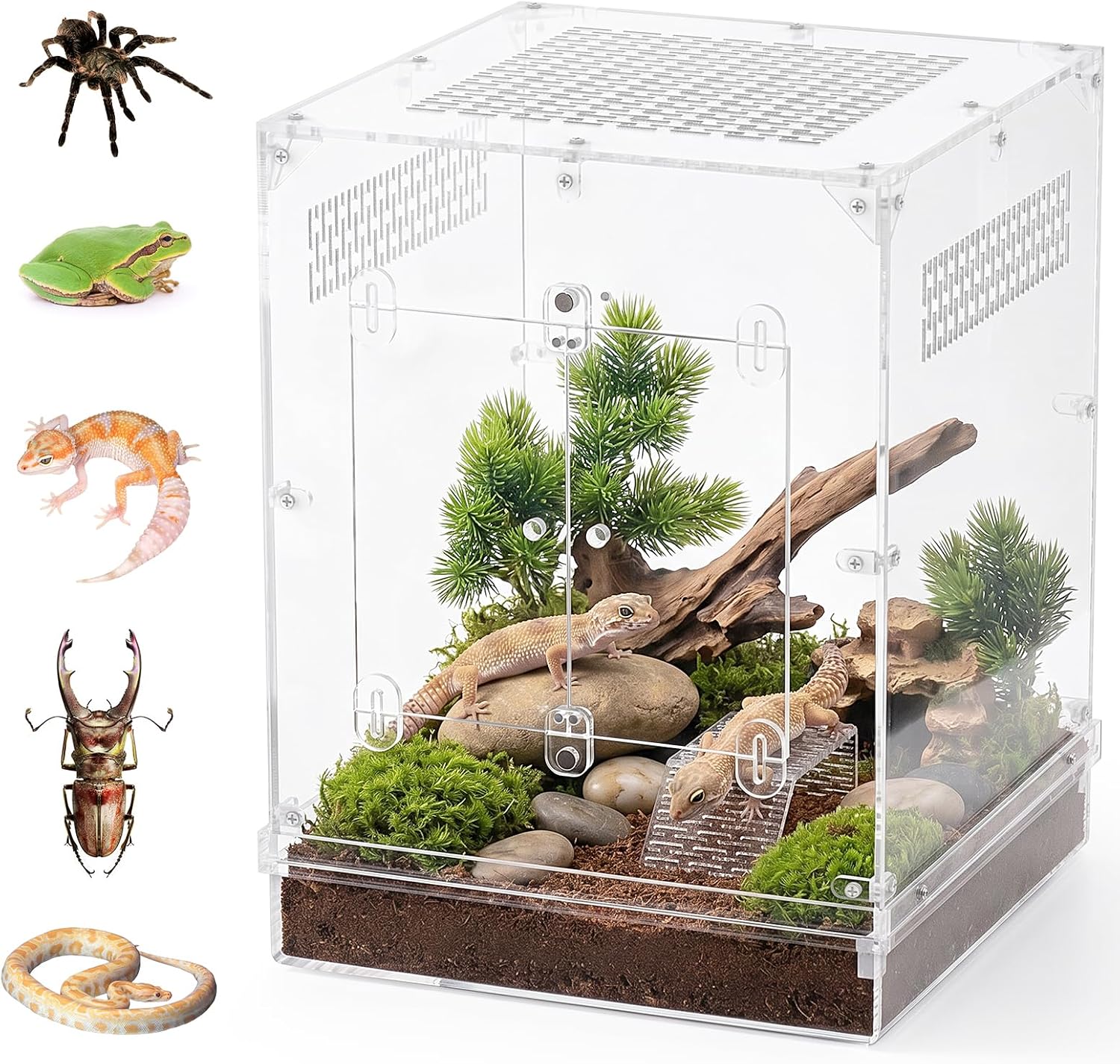 CADUKE 12″x12″x16″ Reptile Terrarium, 10 Gallon Reptile Tank