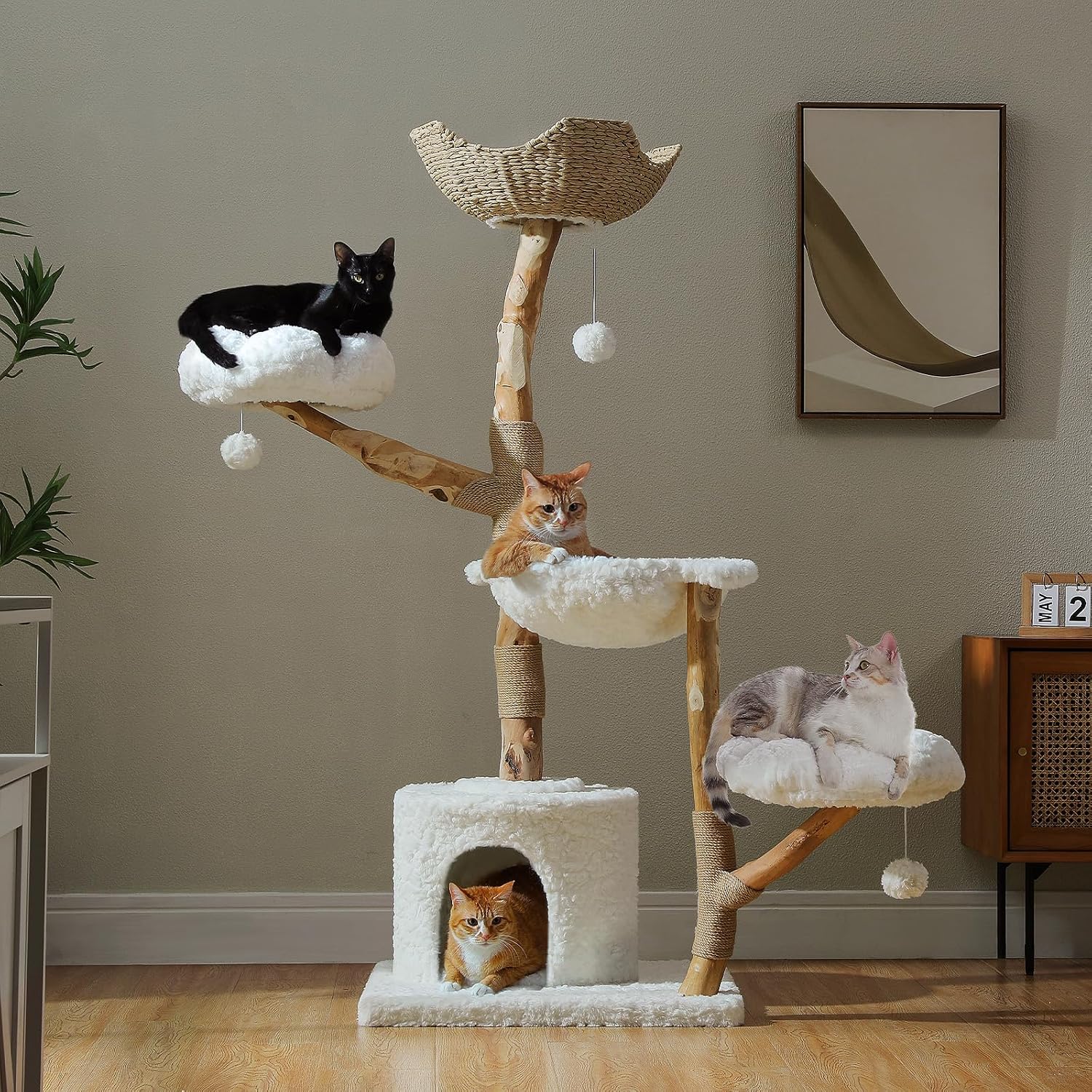 PAWZ Road 59″ Modern Cat Tree, Natural Wood Cat Tower for Large Cats White