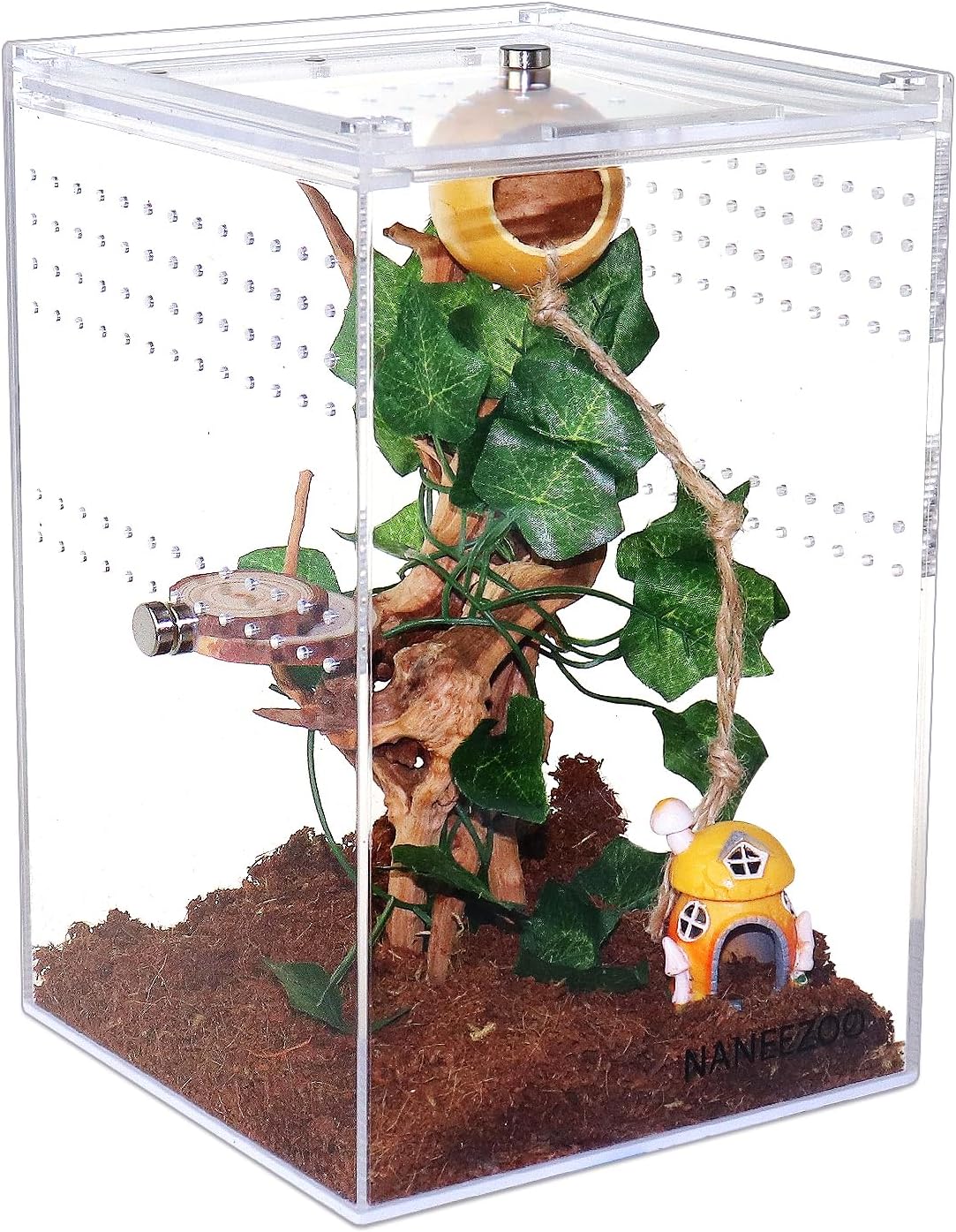 NANEEZOO Magnetic Acrylic Reptile Cage, 6″x6″x9″ Tall Enclosure Transparent Reptile Breeding Box Terrarium Tank for Tarantula Scorpion Sling Isopods Invertebrates Insect Mantis