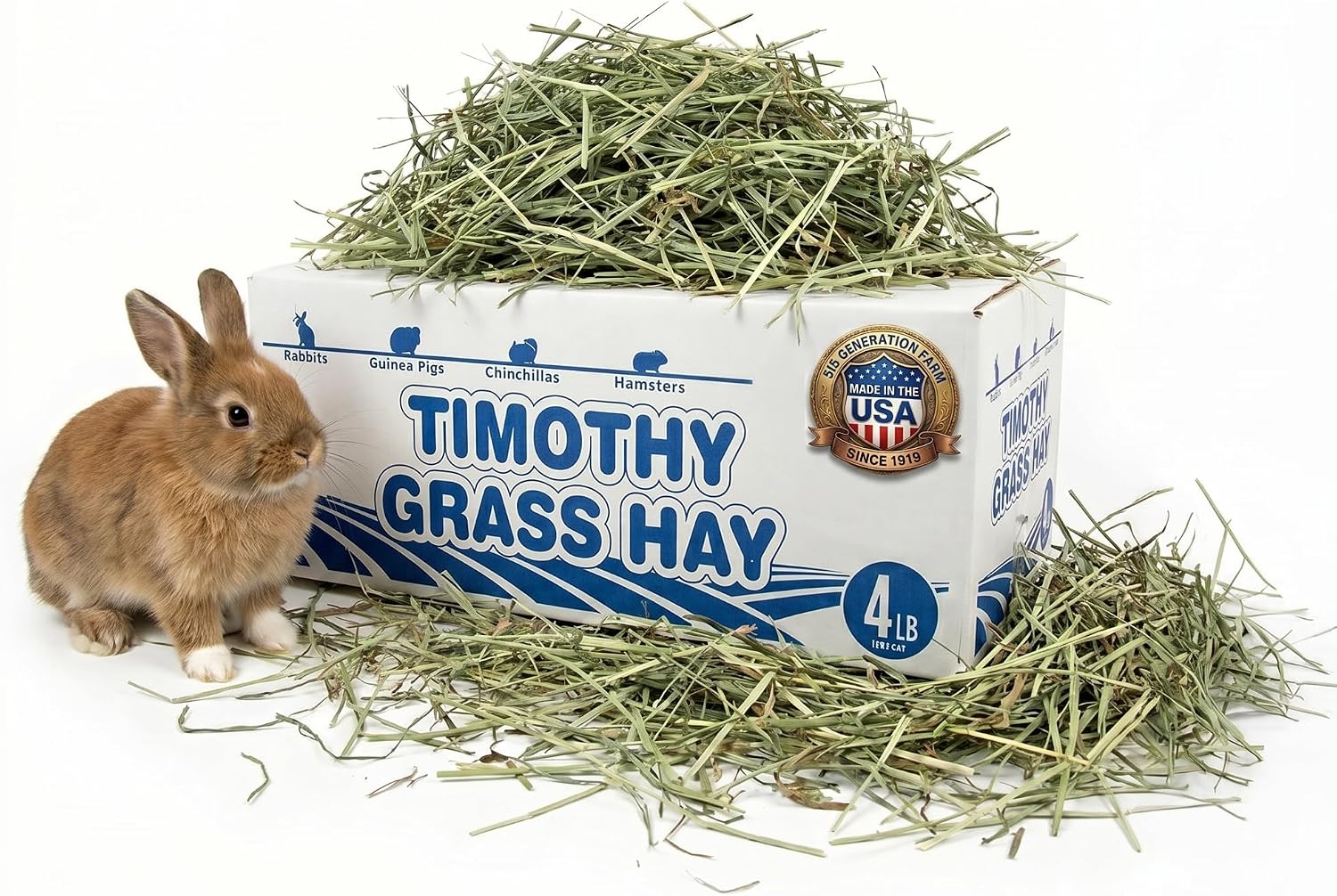 High Desert 1st Cut Timothy Hay for Rabbits, Guinea Pigs, Small Pets, 4 lb
