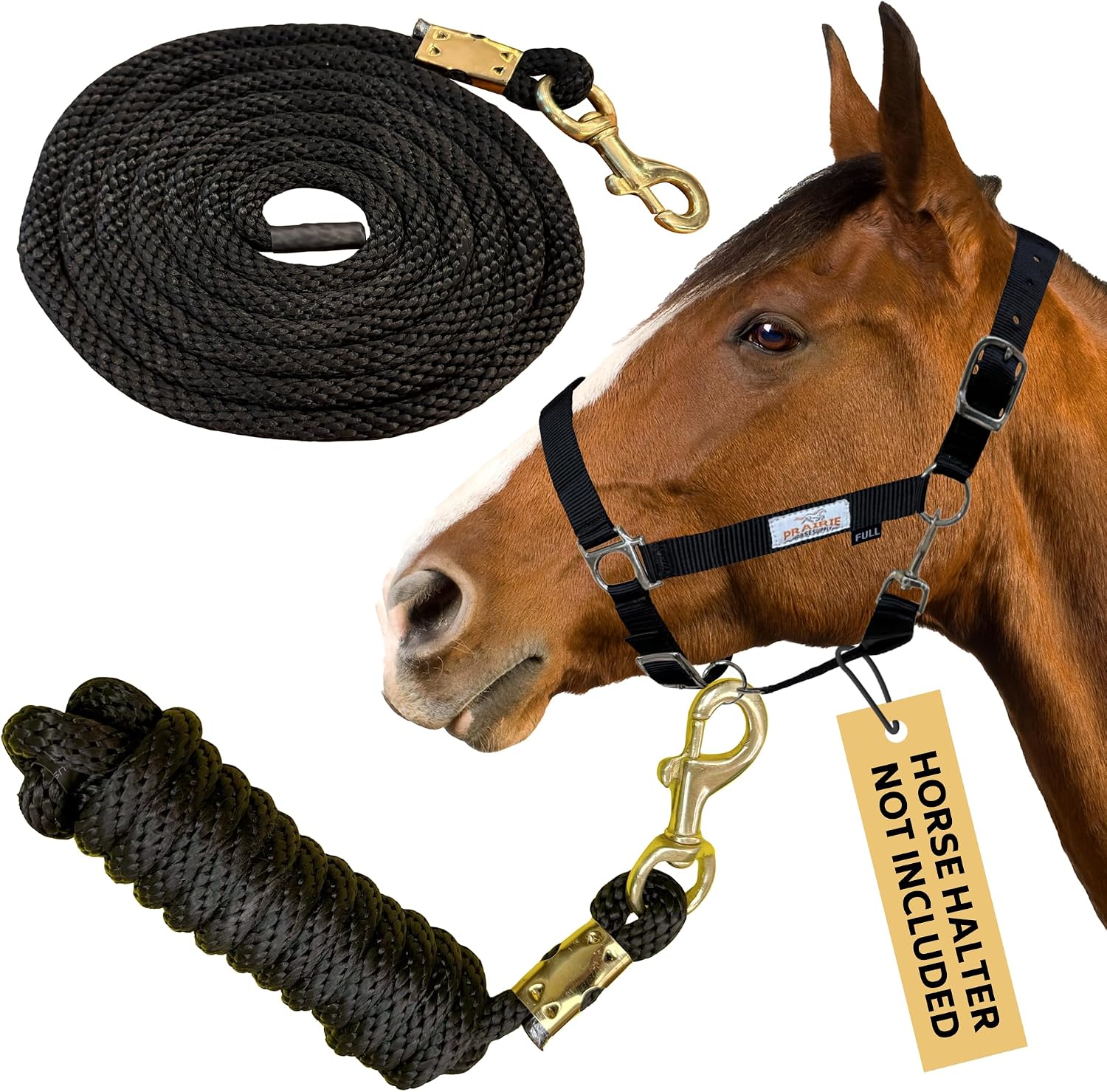 Prairie Horse Supply 10ft Poly Lead Rope With Brass Snap Link, Black – Heavy Duty Polypropylene, Soft Training Lead for Horses – Ideal for Equestrian Use