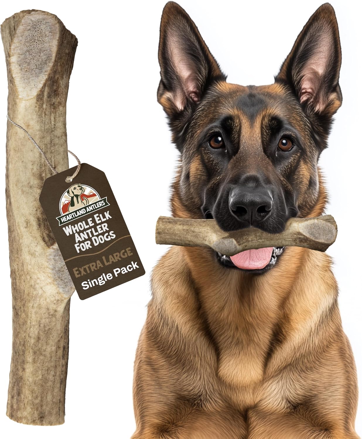 Heartland Antlers Elk Antler Dog Chew, XL 8 in, 65-85 lb Dogs