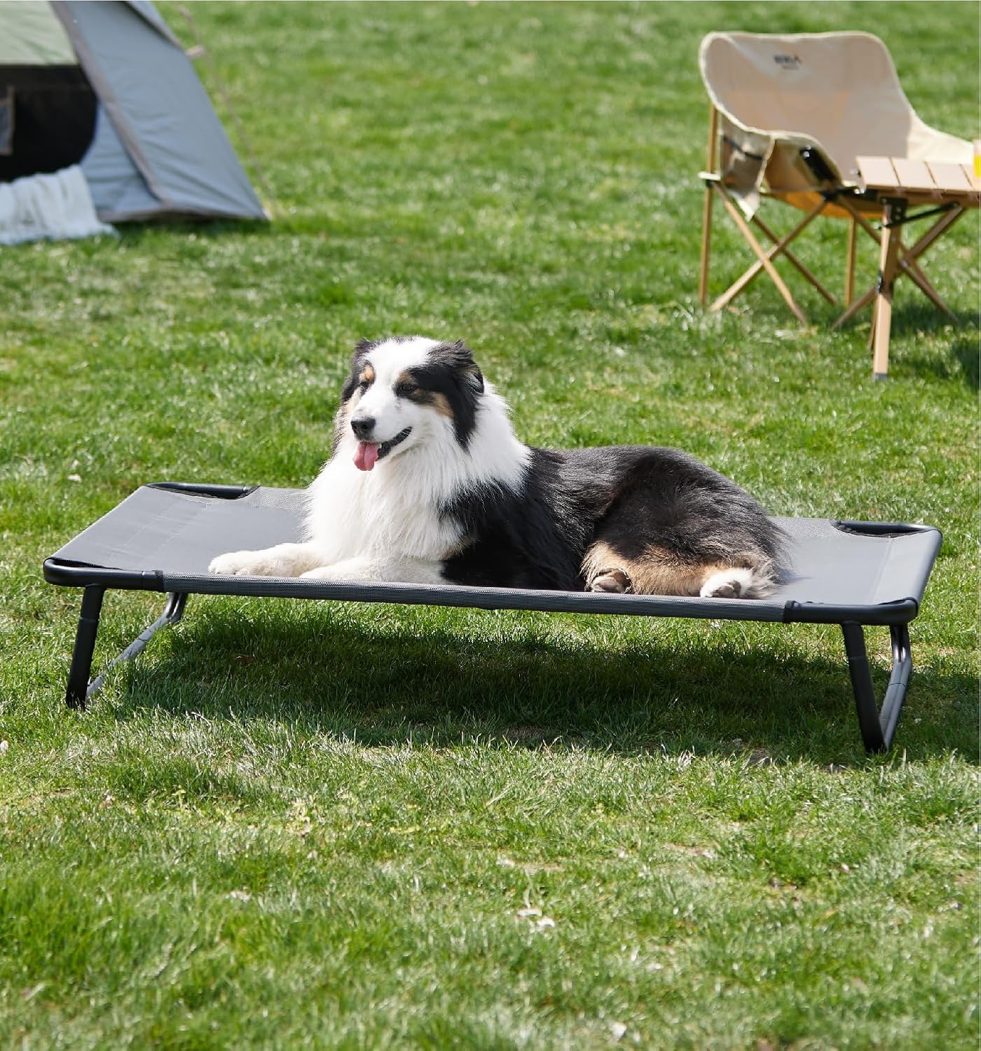 Made4Pets Outdoor Elevated Dog Bed for Large Dogs, Raised Cot, 42″x28″,Gray
