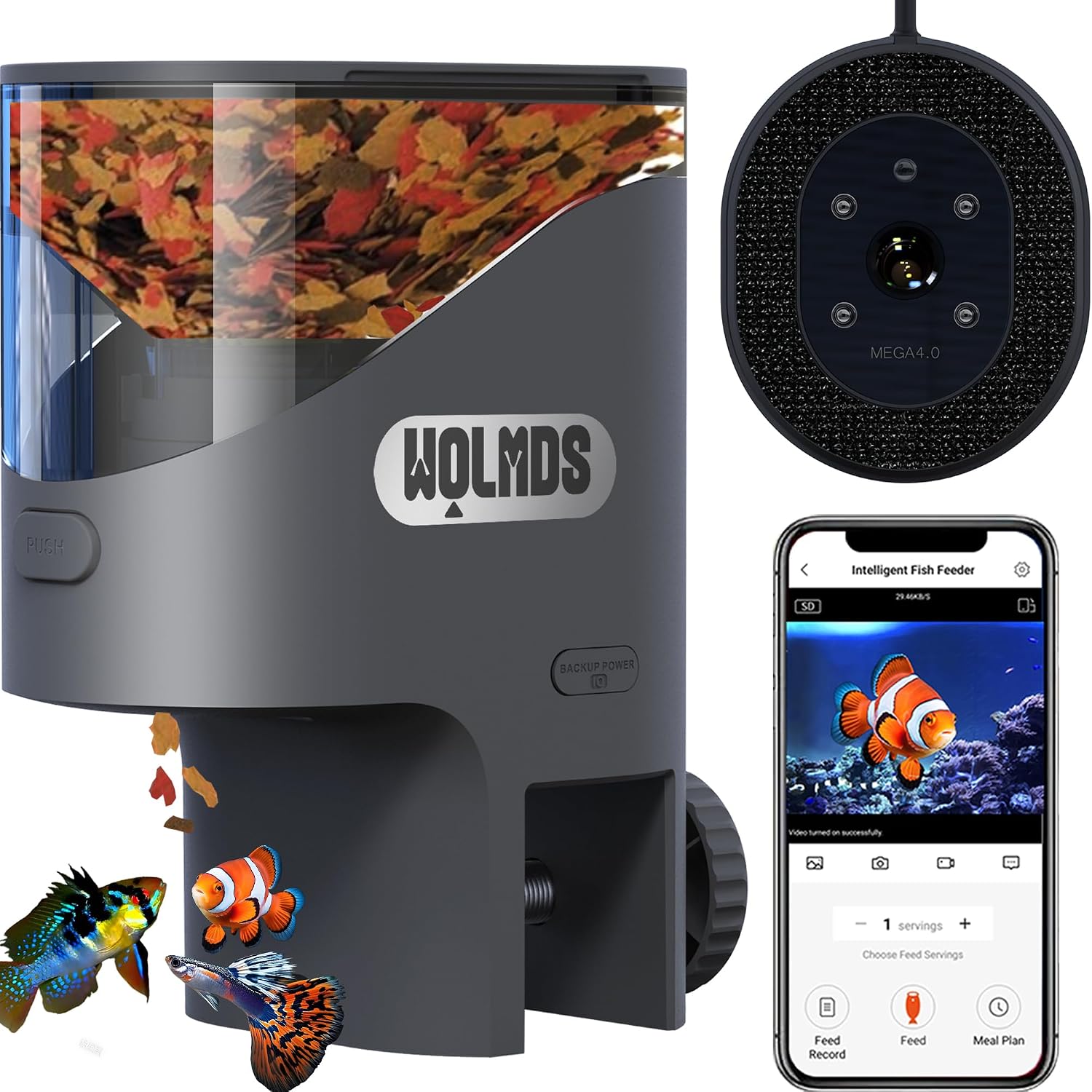 WiFi Automatic Fish Feeder for Aquarium, Flakes Food Dispenser with Camera
