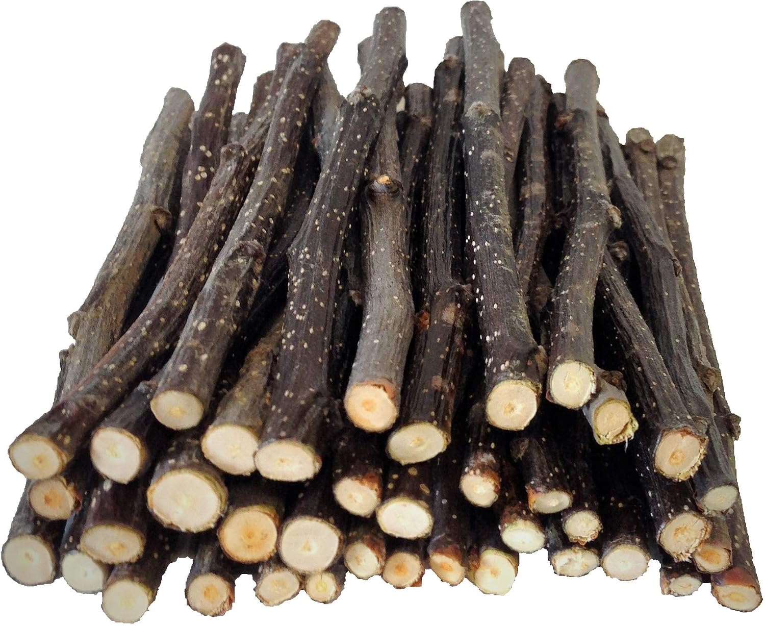 40 Apple Thin CHEW Sticks for Small Animals