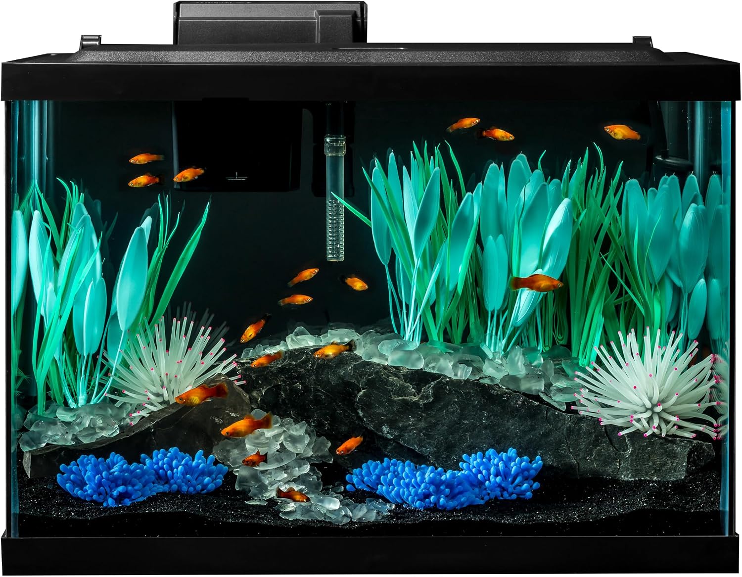 Tetra Color Complete 20 Gallon Fish Tank Kit for Freshwater, Saltwater Fish