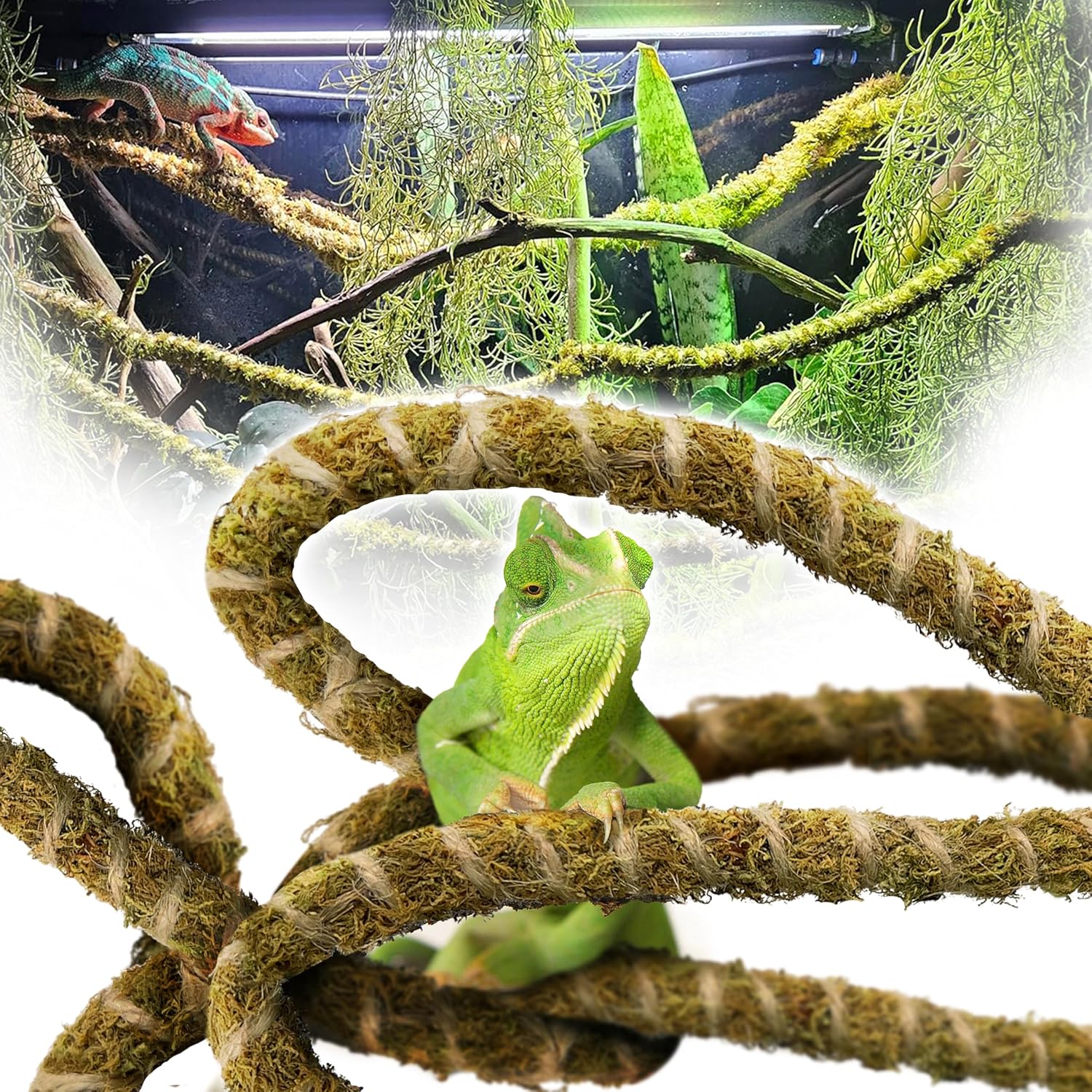 Duspro 6.5FT Reptile Vines for Climbing, Bendable Branch for Reptile