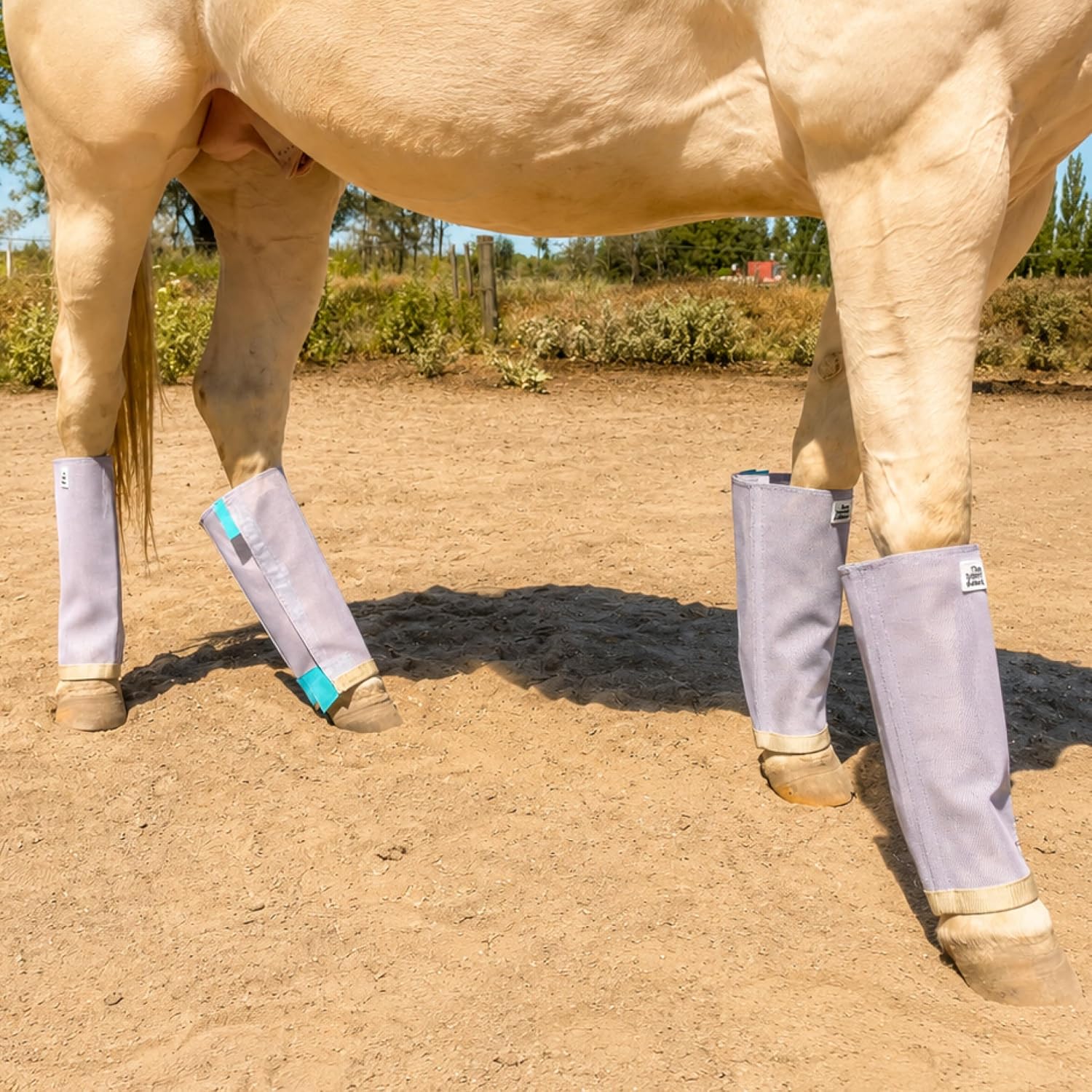 TSZ Horse Fly Boots for Horses – Breathable Fly Leggings [Set of 4]
