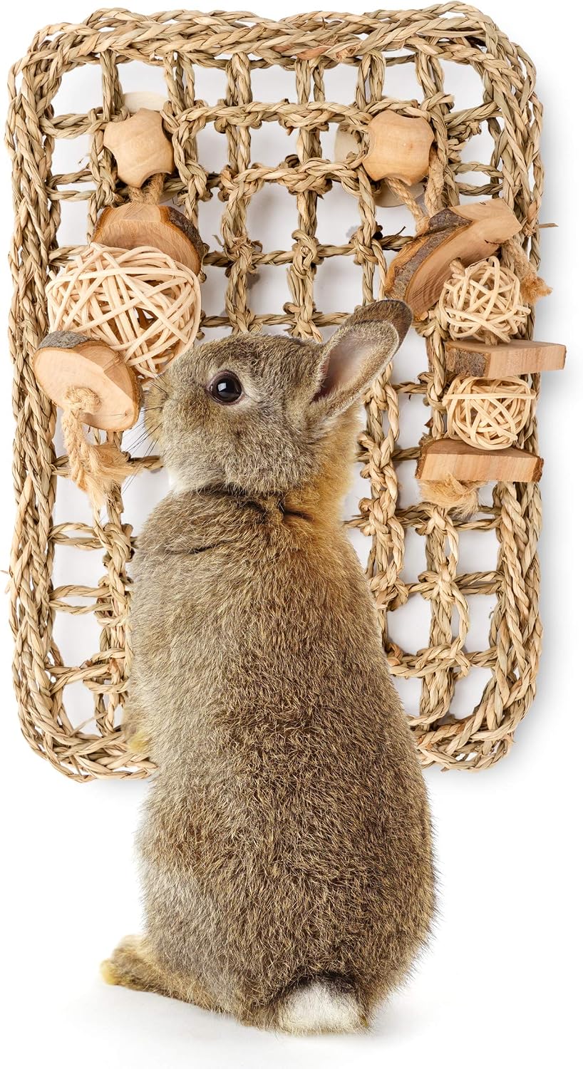 andwe Rabbit Seagrass Protector Mat with Toys (11 X 7.87-inch)
