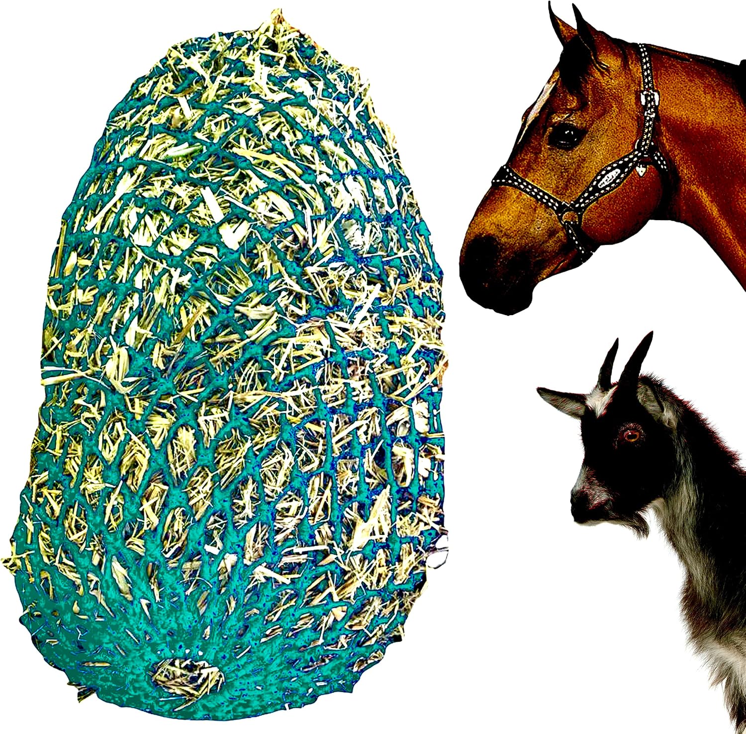 Majestic Ally 1.25”x1.25” Holes Ultra Slow Feed 40” Very Sturdy Hay Net with Bottom Ring for Goat, Sheep, Simulate Grazing and Reduces Waste (Turquoise)