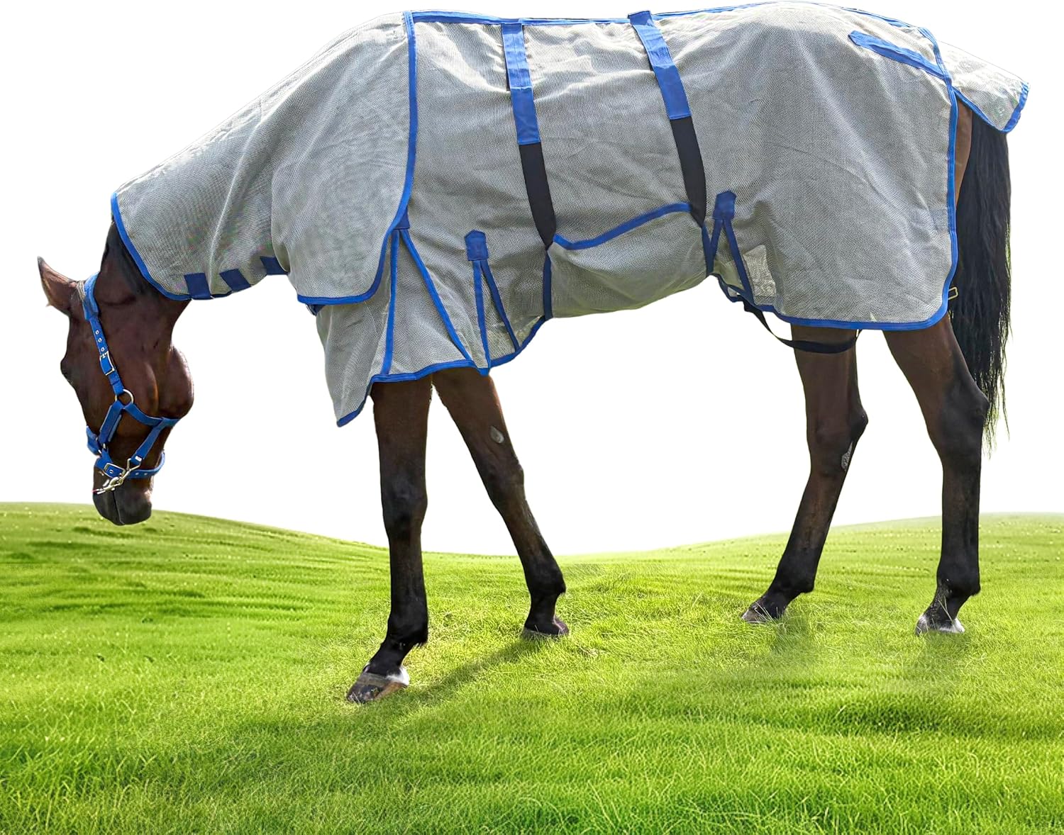 Horse Fly Sheet – UV Protection Breathable Mesh Summer Horse Rug, Lightweight Horse Sheet for Real Horses, Spring/Summer Turnout Sheet with Belly Wrap, Detachable Neck Cover (US 81IN (EU 155cm))