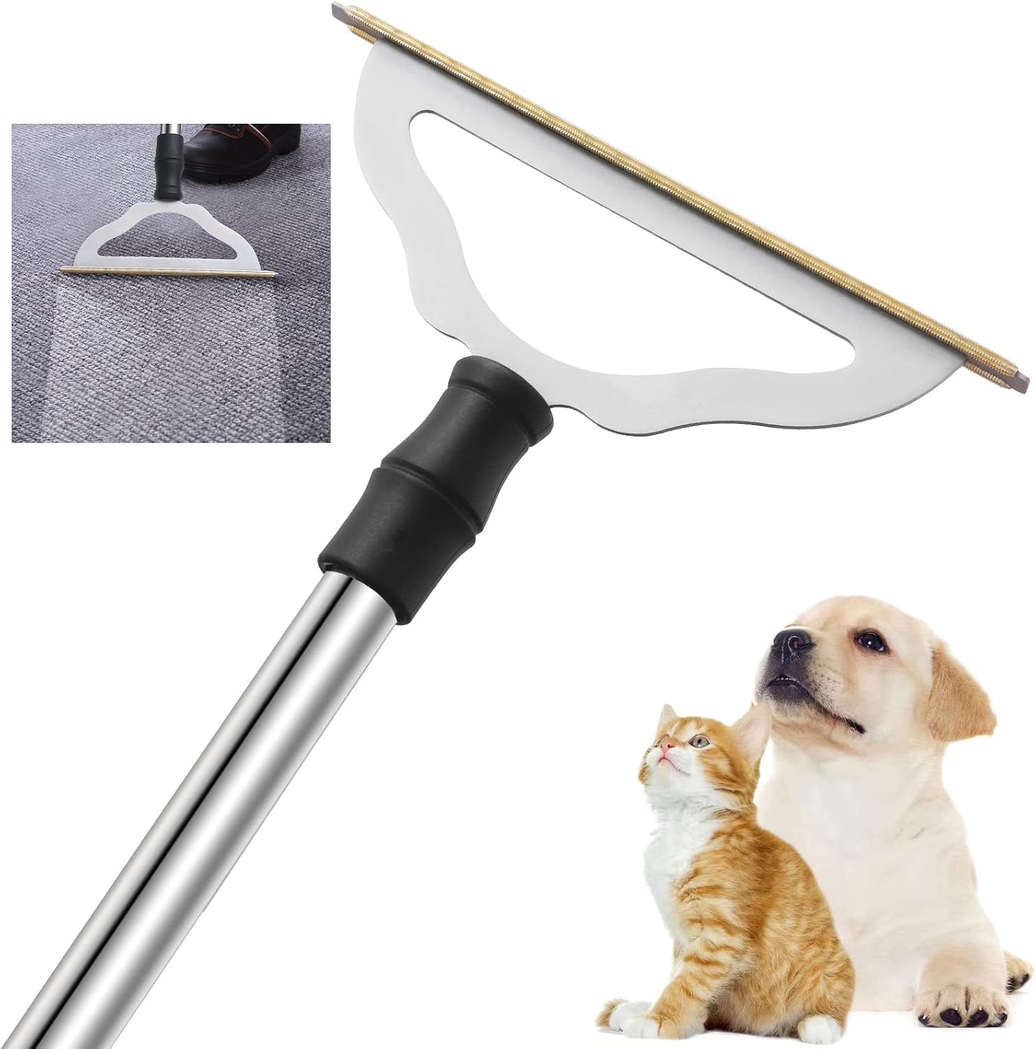 GOSEDER Carpet Rake for Pet Hair Removal – Reusable Pet Hair Remover for Carpet Long Handle, Advanced Dog Hair Broom, Cat Fur Brush, Lint Remover Scraper for Carpets, Rugs, Mats, Couch, Furniture